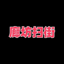 廊坊扫街