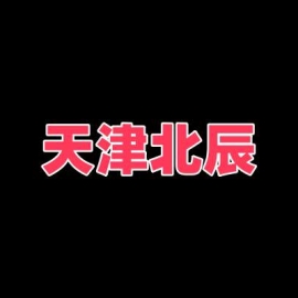 天津北辰一条街